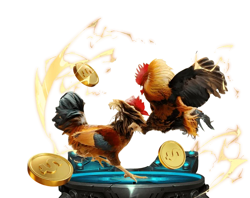 Biểu đồ minh họa các loại cookie khác nhau được sử dụng bởi 7clubs casino